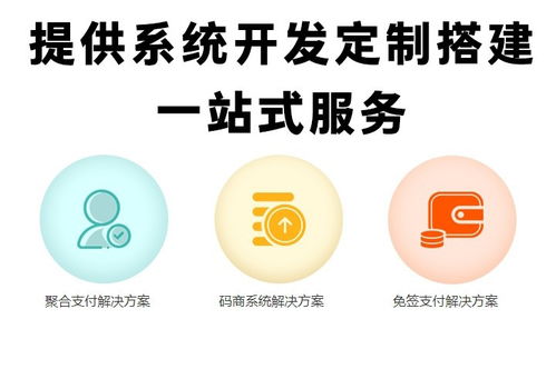 深圳軟件開發(fā) 免簽支付系統(tǒng)源碼開發(fā)的實踐與前景
